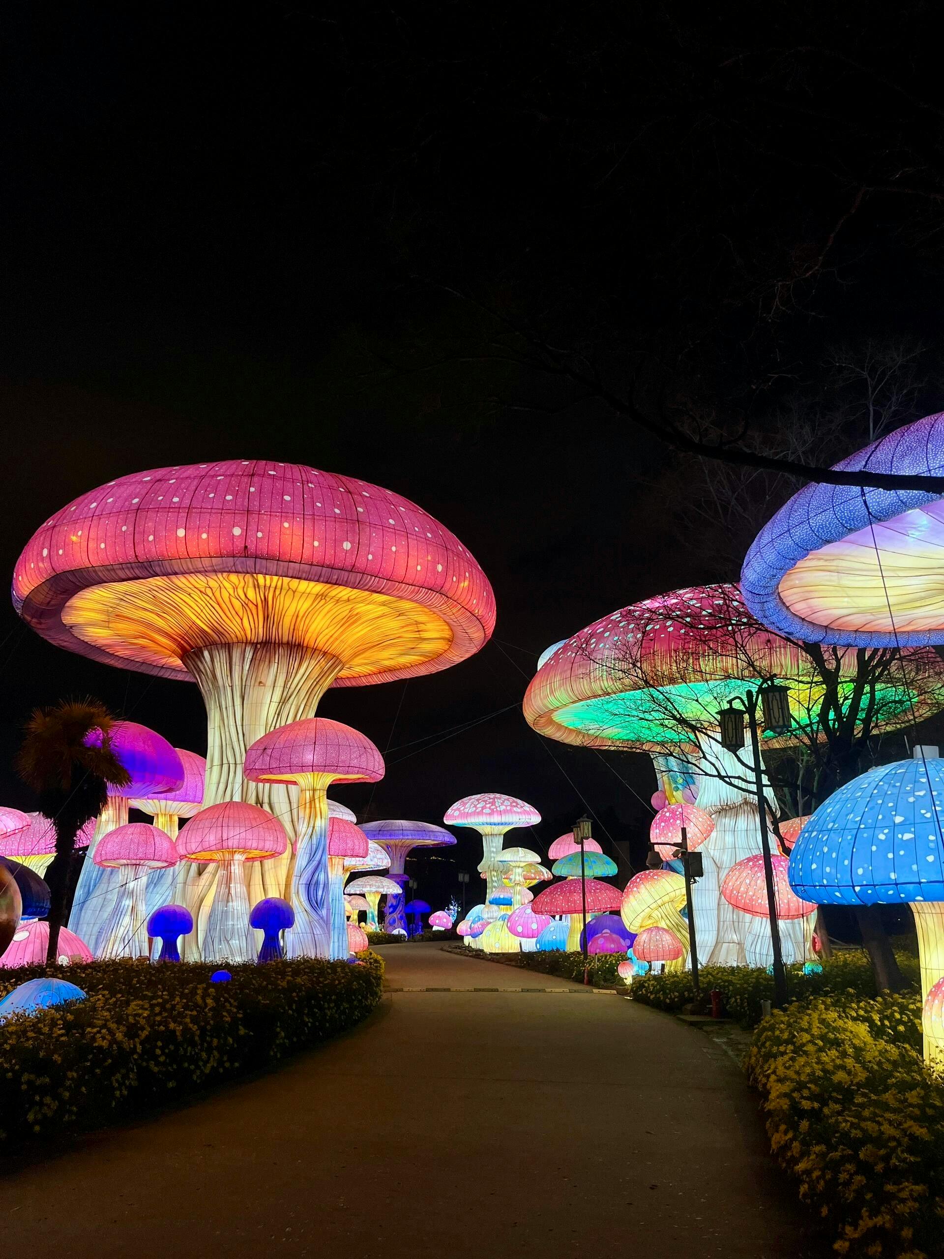 Colorful illuminated mushroom structures create a magical garden scene at night.